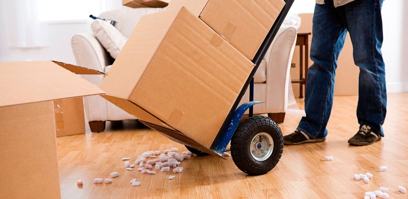 purwanchal movers